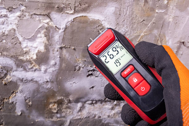 Best Office Mold Removal Services  in Fayetteville, AL