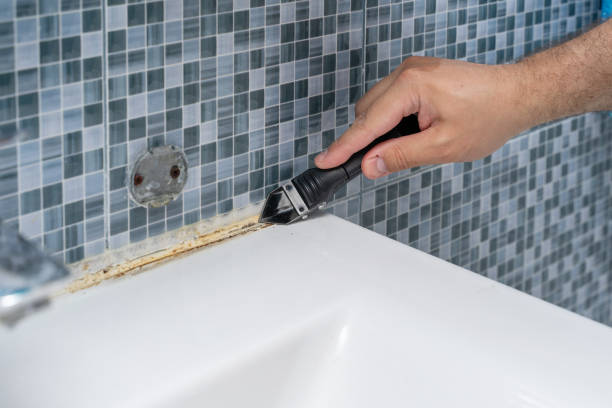 Mold Removal and Inspection in Fayetteville, AL