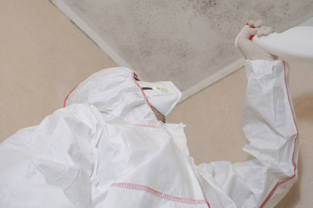 Best Mold Remediation Experts  in Fayetteville, AL