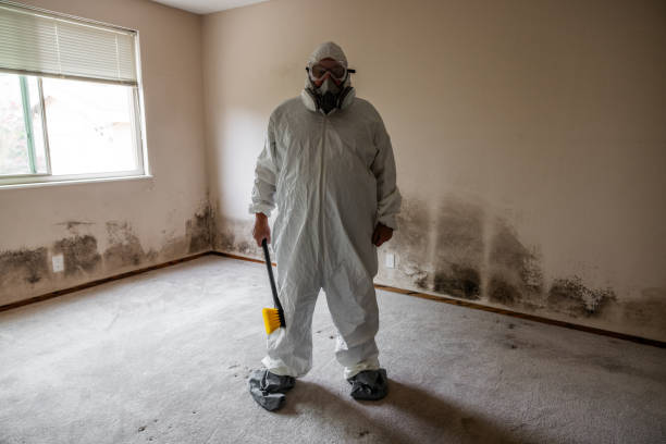 Reliable Fayetteville, AL Mold Removal Solutions
